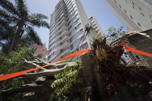 São Paulo no escuro: mais de 300 mil imóveis sem energia após temporal