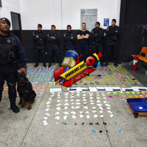 GCM apreende quase 6 mil embalagens com drogas na Vila Alzira