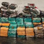 PF apreende cerca de 400 kg de drogas em Guarulhos/SP