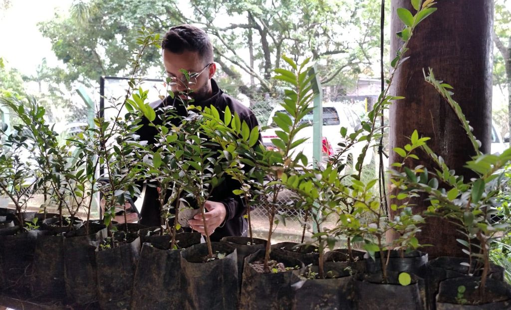 Prefeitura distribui mudas de árvores nativas gratuitamente no CEA Virgínia Ranali