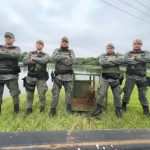 GCM de Guarulhos resgata capivara em situação de risco na região central da cidade