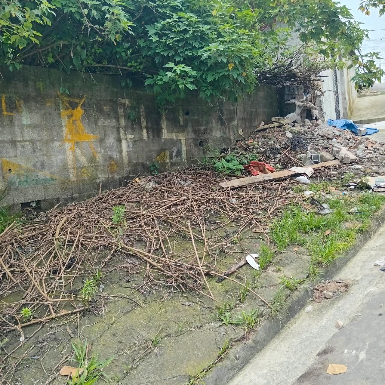 Prefeitura retira descarte irregular de vias da Vila Rio de Janeiro e de mais três bairros 23 Prefeitura retira descarte irregular de vias da Vila Rio de Janeiro e de mais três bairros